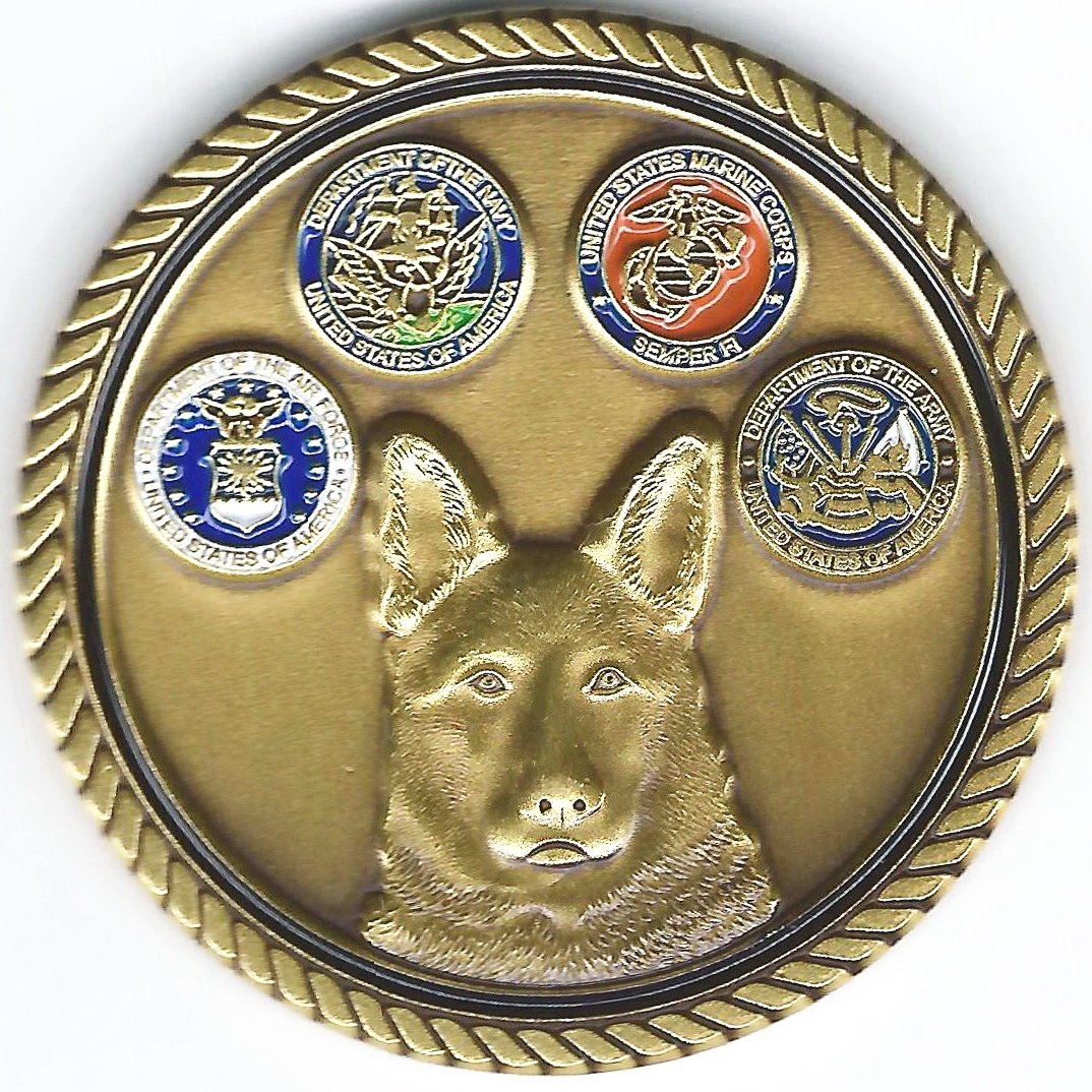30 Challenge Coin - Image 2