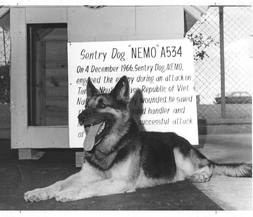 Nemo